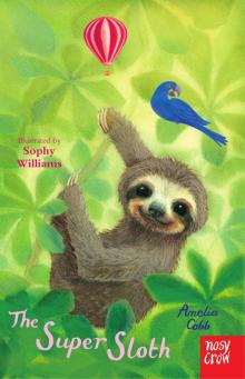 The Super Sloth The Super Sloth