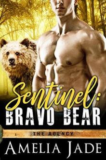 Bravo Bear_The Agency Bravo Bear_The Agency