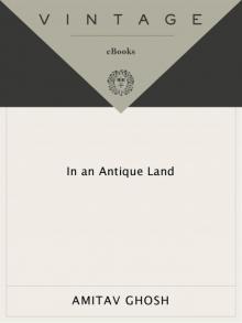 In an Antique Land