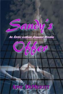 Sandy's Offer
