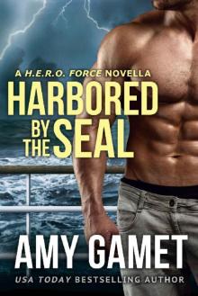 Harbored by the SEAL (HERO Force Book 3)