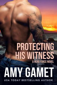Protecting his Witness: A HERO Force Novel
