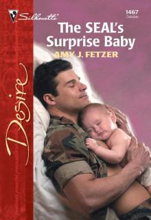 The SEAL’s Surprise Baby The SEAL’s Surprise Baby