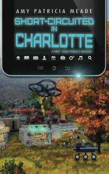 Short-Circuited in Charlotte: A Pret' Near Perfect Mystery