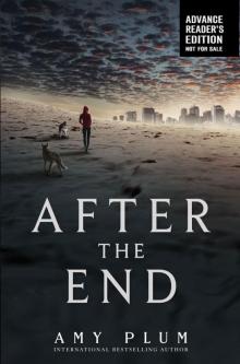 After the End After the End
