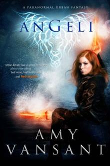 Angeli: The Pirate, the Angel & the Irishman