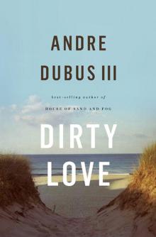 Dirty Love Dirty Love