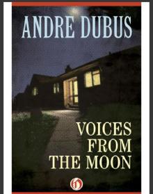 Voices from the Moon