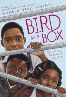 Bird in a Box Bird in a Box