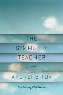 The Symmetry Teacher: A Novel The Symmetry Teacher: A Novel