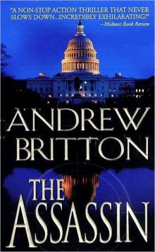 The Assassin rk-2