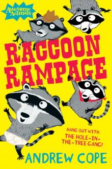 Raccoon Rampage