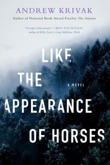 Like the Appearance of Horses