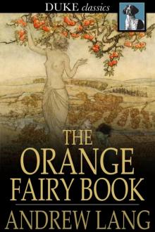 The Orange Fairy Book