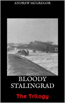 Bloody Stalingrad