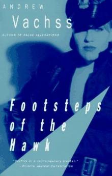 Footsteps of the Hawk b-8