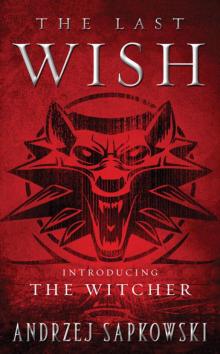 The Last Wish: Introducing The Witcher The Last Wish: Introducing The Witcher