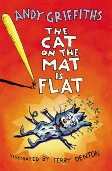 The Cat on the Mat is Flat The Cat on the Mat is Flat
