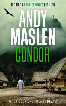Condor (The Gabriel Wolfe Thrillers Book 3)