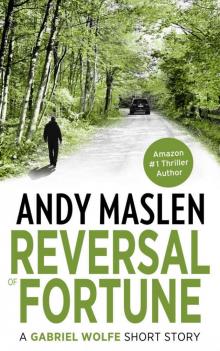 Reversal of Fortune: A Gabriel Wolfe short story (The Gabriel Wolfe thrillers)