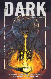 The Dark Issue 85