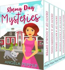 Stormy Day Mysteries 5-Book Cozy Murder Mystery Series Bundle