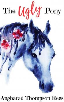 The Ugly Pony