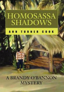 HOMOSASSA SHADOWS