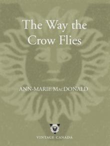 Way the Crow Flies