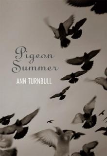 Pigeon Summer