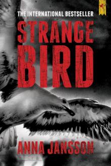 MW01 - Strange Bird