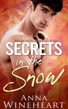 Secrets in the Snow (Meadowfall Firefighters Book 3)