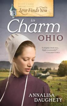 Love Finds You in Charm, Ohio