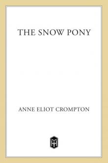 The Snow Pony