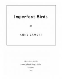 Imperfect Birds Imperfect Birds
