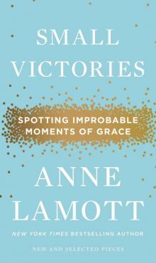Small Victories: Spotting Improbable Moments of Grace Small Victories: Spotting Improbable Moments of Grace