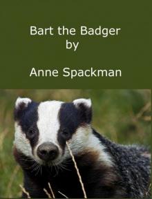 Bart the Badger Bart the Badger