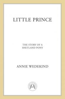 Little Prince - The Story of a Shetland Pony Little Prince - The Story of a Shetland Pony