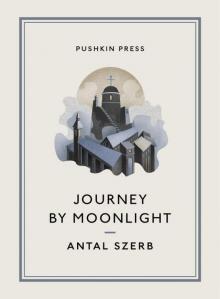 Journey by Moonlight
