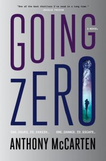 Going Zero Going Zero