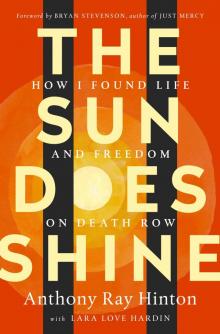 The Sun Does Shine The Sun Does Shine