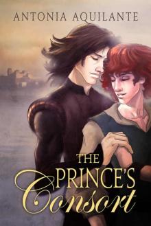 The Prince's Consort (Chronicles of Tournai Book 1)