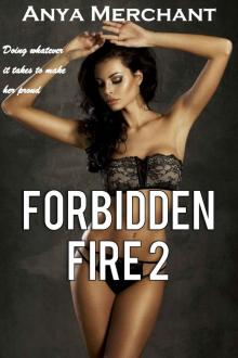Forbidden Fire 2 (Taboo Erotica) (Burning Harem)