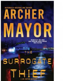 The Surrogate Thief