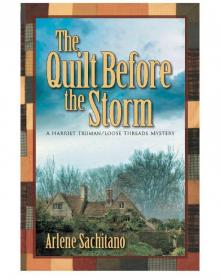 The Quilt Before the Storm