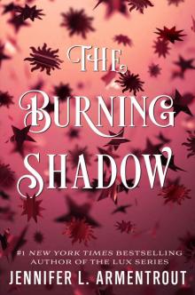 The Burning Shadow The Burning Shadow