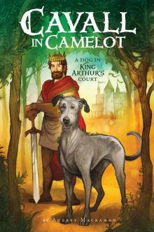 Cavall in Camelot #1 Cavall in Camelot #1