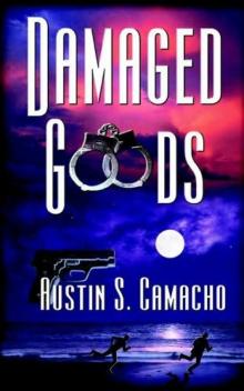 Damaged goods hj-4