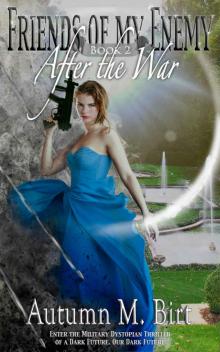 After the War: Military Dystopian Thriller (Friends of my Enemy Book 2)
