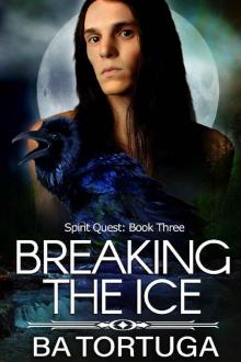 Breaking the Ice